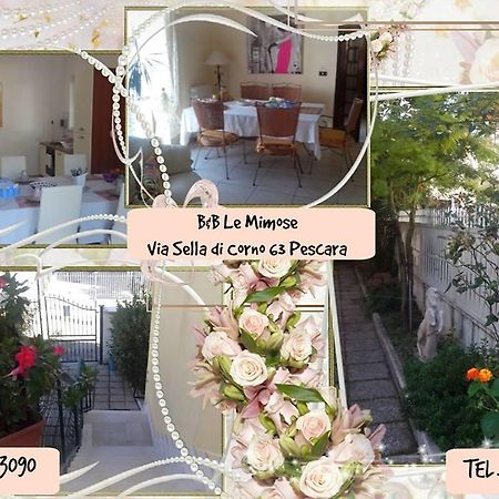 Le Mimose Bed and Breakfast Pescara Eksteriør billede